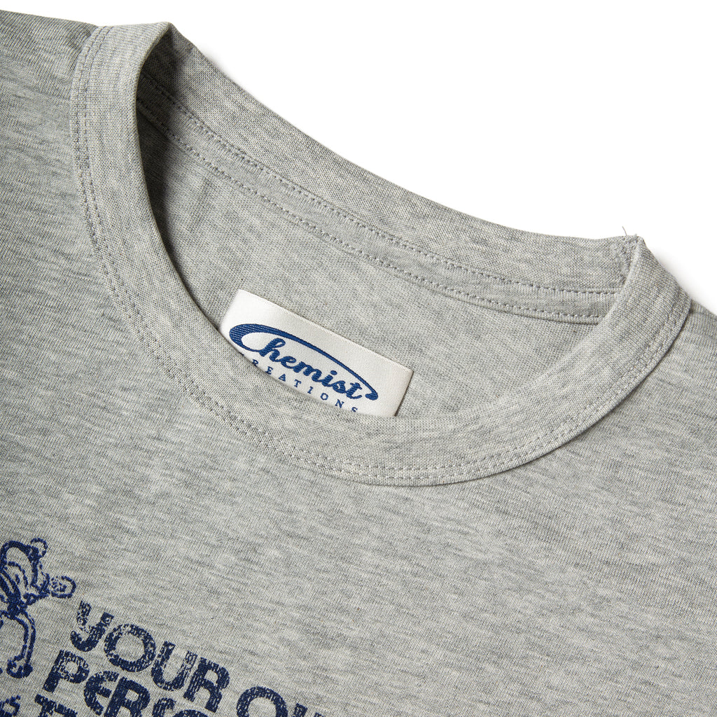 T2_GRY_TSHIRT_230G