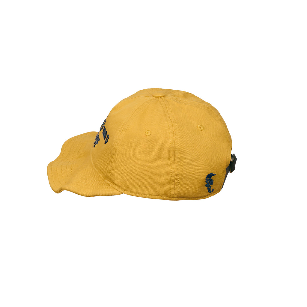 "Arctic Explorer" Sailor Map Sun-Faded Flip Brim Cap