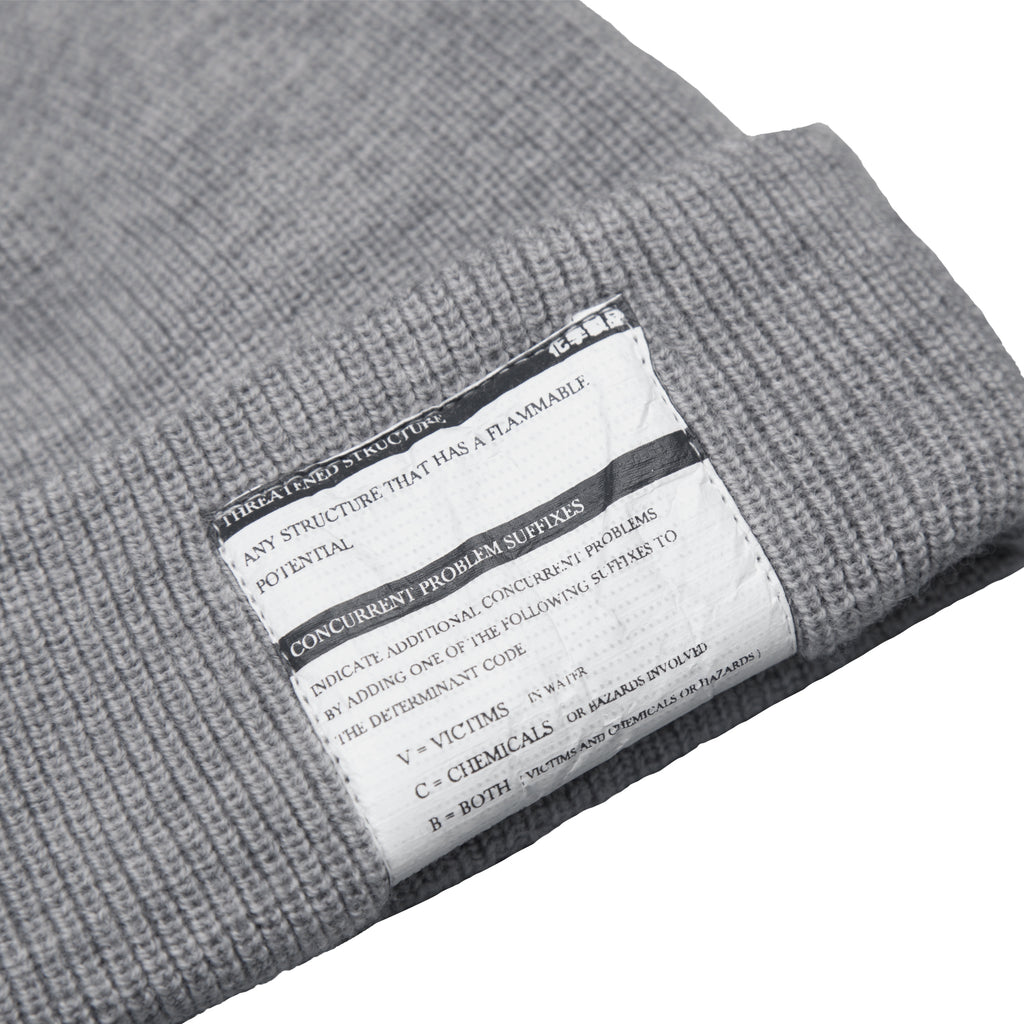 C3_LGY_BEANIE