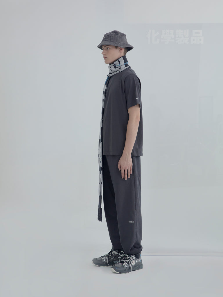 A1_DGY_SCARF