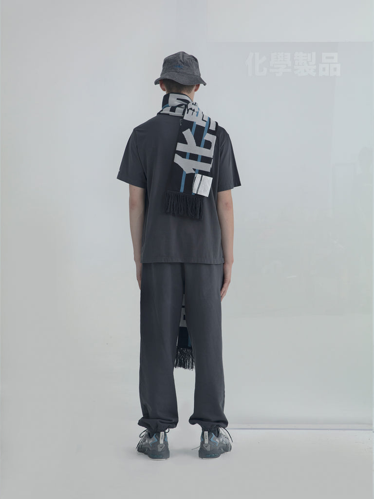 A1_DGY_SCARF