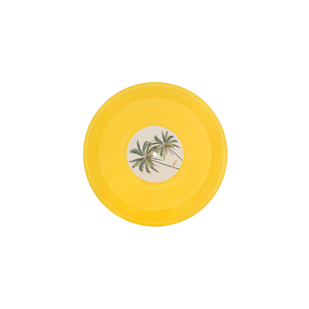L_ENDLESS_SUMMER_DAYS_VINYL